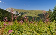 Ilgaz Mountains, Kastamonu, Turkey