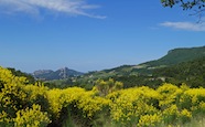 Ausblick in der Provence