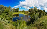 Panorama of summer morning lake