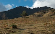 estive pyrénéenne à l'automne