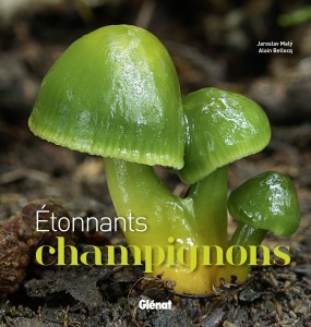 « Etonnants Champignons » (Glénat)